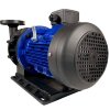Chemiepumpe mit Magnetkupplung QHX-E-545-SSV5V38AFGABS, CFRETFE, 500L/min, 35m, 380V фото 10 — BTS Engineering