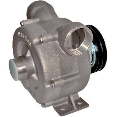 Жидкостно-кольцевой насос для перекачки соков, сиропов LIVERANI NAUTIC 70 Inox FM 24V, 500 л/мин, AISI 316, без двигателя — BTS Engineering