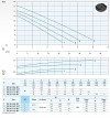 Дренажный погружной насос Dreno BIC 50-2/150 T/G с двухканальным рабочим колесом фото 3 — BTS Engineering