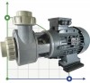 Pompa chemiczna do kwasu DiaPump PA-6900 (5,5 kw) фото 1 — BTS Engineering