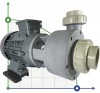 Pompa chemiczna do kwasu DiaPump PA-6900 (5,5 kw) фото 3 — BTS Engineering