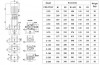 CDLF 2-90, AISI 304 pompa wielostopniowa do mycia CIP фото 4 — BTS Engineering