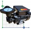 Вихревой масляный насос WM-033S, 220V, -30°C+200°C фото 1 — BTS Engineering