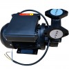 Вихревой масляный насос WM-033S, 220V, -30°C+200°C фото 5 — BTS Engineering