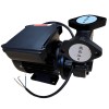 Вихревой масляный насос WM-033S, 220V, -30°C+200°C фото 10 — BTS Engineering