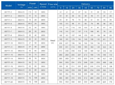 Tiefbrunnenpumpe 8SP77-13, 55kW, 380V — BTS Engineering