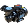Вихревой масляный насос WM-05, 380V, -30°C+200°C фото 5 — BTS Engineering