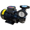 Вихревой масляный насос WM-05, 380V, -30°C+200°C фото 6 — BTS Engineering