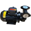 Вихревой масляный насос WM-05, 380V, -30°C+200°C фото 7 — BTS Engineering
