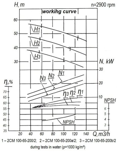 Насос стічних-масних середовищ 2СМ 100-65-200/2, 30 кВт, 3000 об/хв (без двигуна) &mdash; BTS Engineering