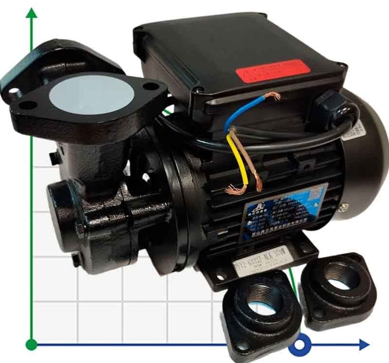 Вихревой температурный насос WM-05S, 220V, -30°C+200°C фото 1 — BTS Engineering