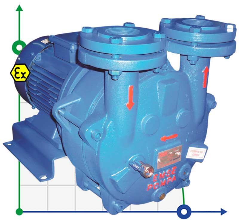 Próżniowa pompa do bioetanolu ESV 220/90, 195 m3/h, 5,5 kW, 1450 obr/min, Ex фото 1 — BTS Engineering