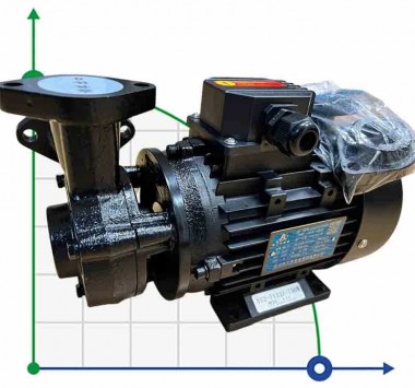 Вихревой масляный насос WM-10, 380V, -30°C+200°C — BTS Engineering
