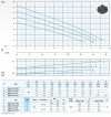 Погружной насос Dreno ALPHA V32 T/G с вихревым рабочим колесом фото 3 — BTS Engineering