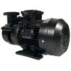 Pompa olejowa wirowa WM-20, 380V -30°C+200°C фото 3 — BTS Engineering