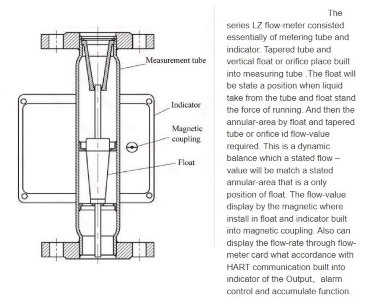 DN25 Medidor de flujo de acero inoxidable rotámetro LZ PN16 (mezcla líquida de alcohol C2H5OH 92%), 16...160 l/h, 4-20mA, Ex — BTS Engineering