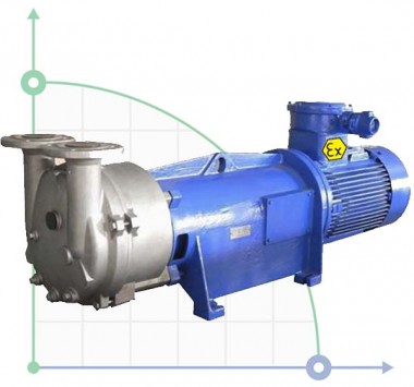 2BV6121, AISI 316, Ех взрывозащищенный вакуумный насос — BTS Engineering