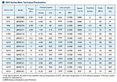 2BV6121, AISI 316, Ех взрывозащищенный вакуумный насос — BTS Engineering