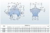 BSC4 150-460A/B, (1500) - pompe à double entrée фото 3 — BTS Engineering