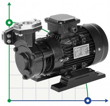 Bomba de aceite vortex WM-30N, 380V -30°C+200°C — BTS Engineering