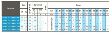 Bomba sumergible de achique BE 80 316 DERBY 100, 220V — BTS Engineering