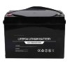 Аккумуляторная батарея CL-12,8V 100Ah, LiFePO4, LFP ABS Shell напольный фото 1 — BTS Engineering