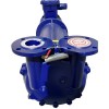 Вакуумний насос 2BV5131 Ex (AISI 316) фото 5 — BTS Engineering