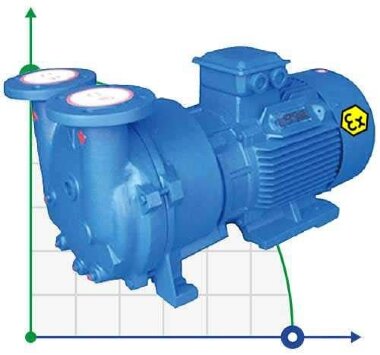 Вакуумный насос 2BV5131 Ex (AISI 316) &mdash; BTS Engineering