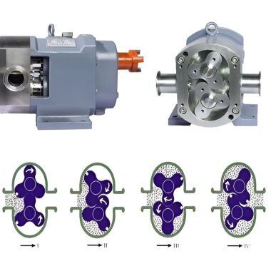 Nockenpumpe für Shampoos, Cremes und Gele CYB3-3Y, 3 m³/h, 0,4 MPa, 1,5 kW, 400 U/min, 380 V, 50 Hz, AISI 304, Ex, Klemmverbindung &mdash; BTS Engineering