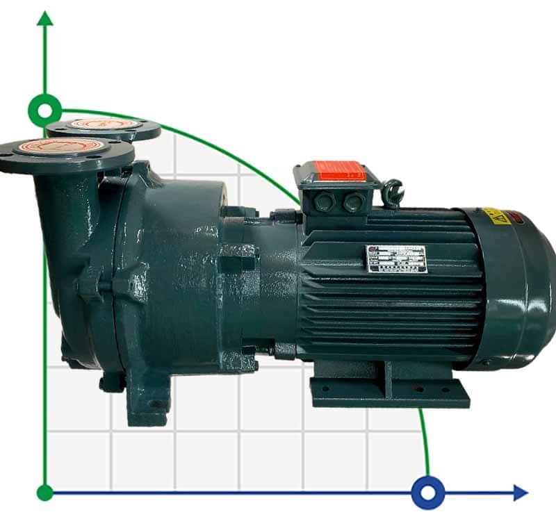 Vacuum pump 2BV5121 (AISI 316) фото 1 — BTS Engineering