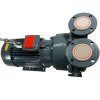 Vacuum pump 2BV5121 (AISI 316) фото 7 — BTS Engineering