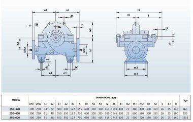 BSC4 250-370A/B, (1500) - насос двустороннего входа — BTS Engineering