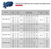 Моноблочный насос для полива ETKF-M 40-250, 18,5 kW, 3000 фото 5 — BTS Engineering