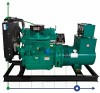 Industrial diesel generator XHY-R20GF with ATS, engine Ricardo 30kVA, 20kW, 380V/50HZ open type фото 1 — BTS Engineering