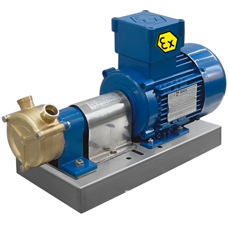 Вихревой насос для морского сектора LIVERANI GR ADPE SPECIAL 50, 230 л/мин, TF 1,5 кВт, 1400 об/мин, 380В, Ex, бронза фото 1 — BTS Engineering
