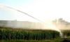 Sprinkler for irrigation JET55-NPT фото 5 — BTS Engineering