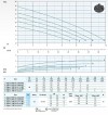Погружний насос Dreno ALPHA V PRO 50-2/060 M/G з вихровим робочим колесом фото 3 — BTS Engineering