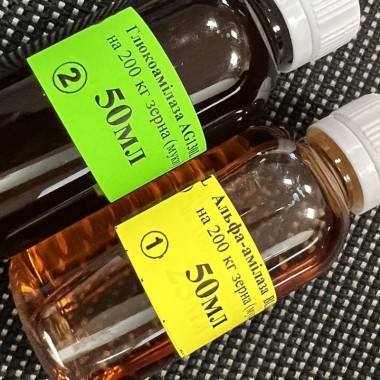 A set of enzyme preparations for 200 kg of flour grain, alpha-amylase - 50 ml, glucoamylase - 50 ml — BTS Engineering