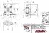 Bomba neumática de diafragma RUBY 040S-P-TST-T фото 2 — BTS Engineering