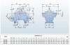 BSC4 350-360A/B, (1500) -  pompa z podwójnym wejściem фото 3 — BTS Engineering