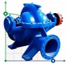 Zweiflutige Split-Case-Pumpe 1D1250-63, 1000, ohne Motor фото 1 — BTS Engineering