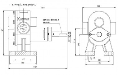 Шестеренчатый насос из нержавеющей стали Kupar KHP 1 дюйм-C, AISI 316, 2-5 м3/ч для химии — BTS Engineering