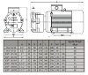 Водокільцевий вакуумний насос ESV 150/60, 130 м3/год, 3 кВт, 3000 об/хв фото 2 — BTS Engineering