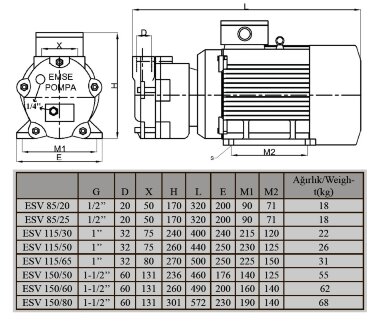 Водокільцевий вакуумний насос ESV 150/60, 130 м3/год, 3 кВт, 3000 об/хв — BTS Engineering