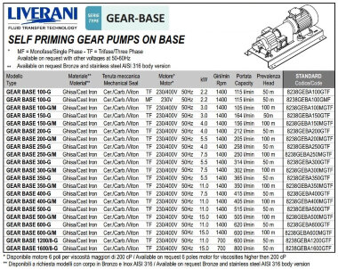 Шестеренчатый насос для перекачки соевого масла LIVERANI GEAR BASE 100-G TF 2,2 кВт, 1400 об/мин, 380 В — BTS Engineering