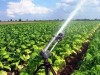 Arroseur pour arrosage, irrigation PIVOTJET BSP фото 3 — BTS Engineering