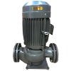 JL 100S циркуляционный сетевой насос фото 1 — BTS Engineering