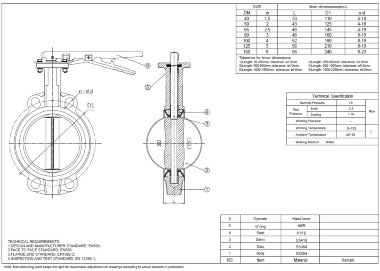 PN16 DN150 Vanne papillon, corps et disque en acier inoxydable AISI 304, siège PTFE — BTS Engineering