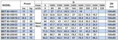 Bomba centrífuga monobloque BST 80-160/18.5, 3000 — BTS Engineering