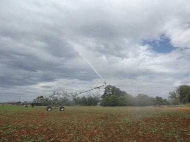 Sprinkler for irrigation PIVOTJET-NPT — BTS Engineering